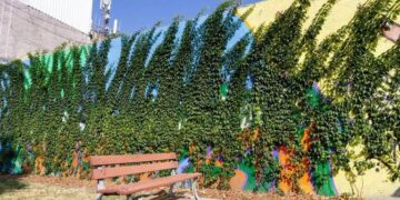 Sedema crea 790 metros lineales de bardas vivas en la CDMX