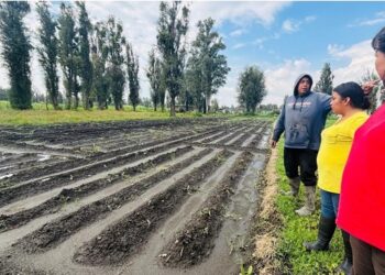 Gobierno de la CDMX ignora a campesinos de Tláhuac que perdieron sus cosechas