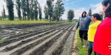 Gobierno de la CDMX ignora a campesinos de Tláhuac que perdieron sus cosechas