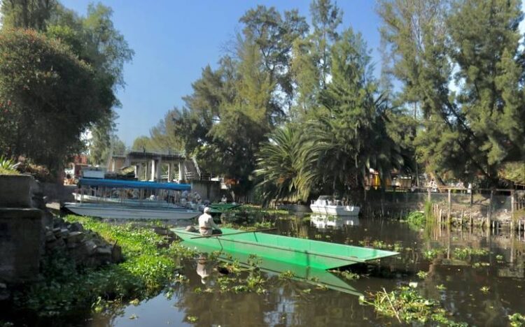 Hay alarma entre pobladores de Xochimilco, por los canales que se podrían secar en 2030