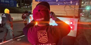 Realizan operativos ambientales en Tlalpan contra la tala ilegal y otros delitos