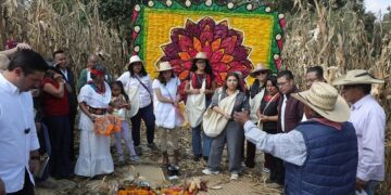 Clara Brugada anuncia la apertura de tortillerías comunitarias a bajo precio en la CDMX