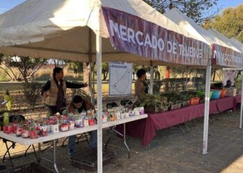 El Mercado de Trueque se puede canjear desde árboles de Navidad hasta artículos electrónicos