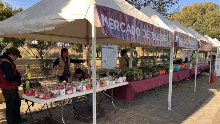 El Mercado de Trueque se puede canjear desde árboles de Navidad hasta artículos electrónicos