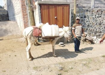 Gloria Brito hace un llamado a autoridades a atender causas que generan la pobreza