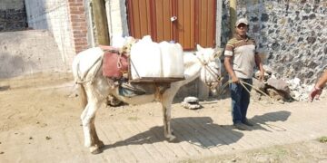 Gloria Brito hace un llamado a autoridades a atender causas que generan la pobreza