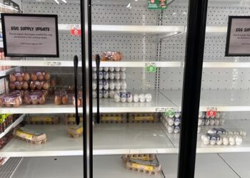 Se incrementa el precio del huevo por la escasez que hay en EU