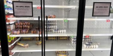 Se incrementa el precio del huevo por la escasez que hay en EU