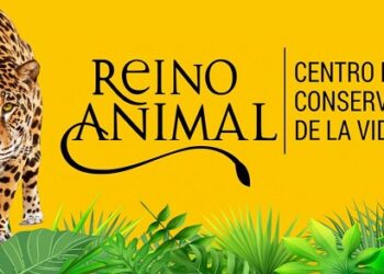 Reino Animal alcanza la más alta distinción en responsabilidad ambiental