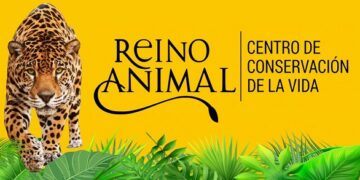 Reino Animal alcanza la más alta distinción en responsabilidad ambiental
