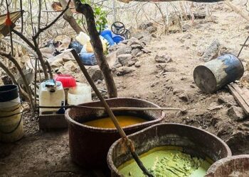 Desmantelan dos laboratorios en Sinaloa, en total han sido 20 en el año