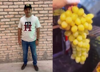 Surge Mafia de la Fruta que opera en Nayarit