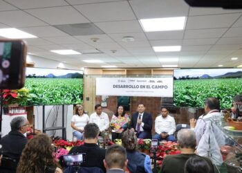 Para Atlixco, Puebla la flor de Nochebuena llegará a los 3.2 millones de piezas