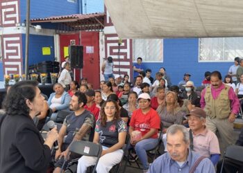 Autoridades incapaces de resolver tantos y graves problemas en el país: Gloria Brito