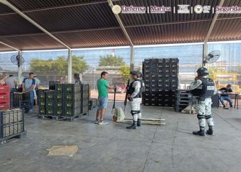 Plan Michoacán avanza en las fuerzas federales y detienen a 10 sospechosos