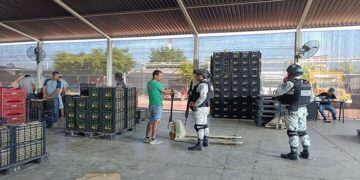 Plan Michoacán avanza en las fuerzas federales y detienen a 10 sospechosos