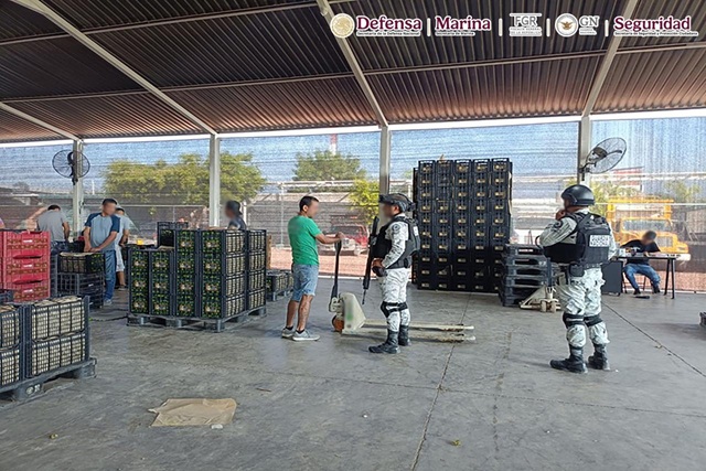 Plan Michoacán avanza en las fuerzas federales y detienen a 10 sospechosos