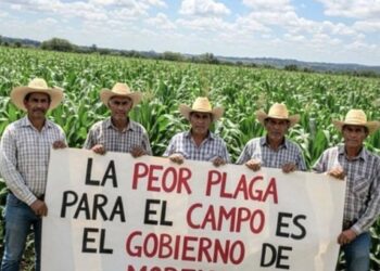 Alarma y protesta campesina ante indiferencia gubernamental