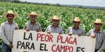 Alarma y protesta campesina ante indiferencia gubernamental