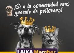 E-commerce enfocada en el bienestar animal presenta avances en servicios para el cuidado integral de mascotas