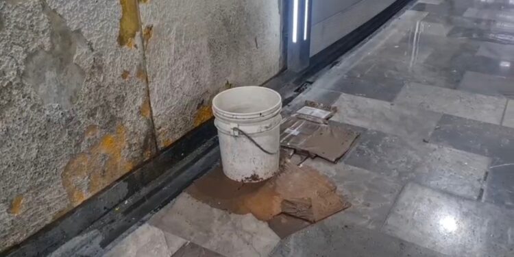 Goteras en el Metro evidencian abandono y riesgo para millones de usuarios: Gloria Brito