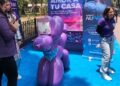 CanFest con NuBus reunió a familias y sus mascotas en una jornada dedicada al bienestar y la convivencia
