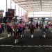 Triunfo, tradición y pasión en la 3ª Copa Charro Fest: la Mancomunidad y la Mexicanidad conquistan el Lienzo Charro de Constituyentes