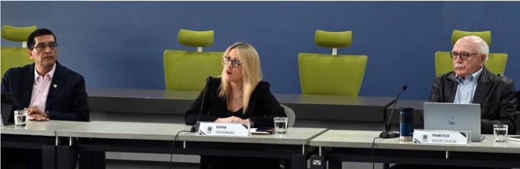 Teoría: “mayoritarista” y “populista”,  son deformaciones de la democracia.