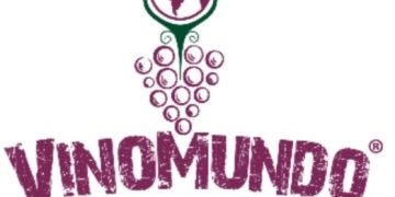 Vino mundo Fest: el festival donde el vino, la gastronomía, el arte y la música se encuentran