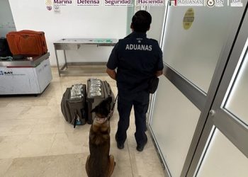 No llevaba ropa en su maleta le encuentran fajos con dólares miles en billetes verdes