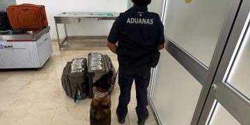 No llevaba ropa en su maleta le encuentran fajos con dólares miles en billetes verdes