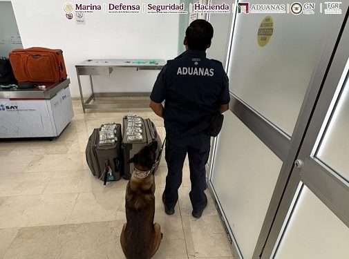 No llevaba ropa en su maleta le encuentran fajos con dólares miles en billetes verdes