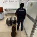 No llevaba ropa en su maleta le encuentran fajos con dólares miles en billetes verdes