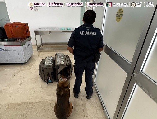 No llevaba ropa en su maleta le encuentran fajos con dólares miles en billetes verdes